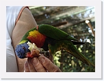 At_the _zoo (26) * 2048 x 1536 * (1.4MB)